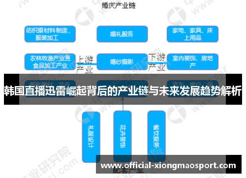 韩国直播迅雷崛起背后的产业链与未来发展趋势解析